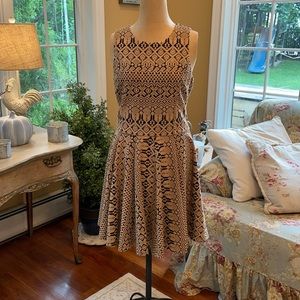 Cynthia Rowley Black & Tan Fit 'n Flare Dress